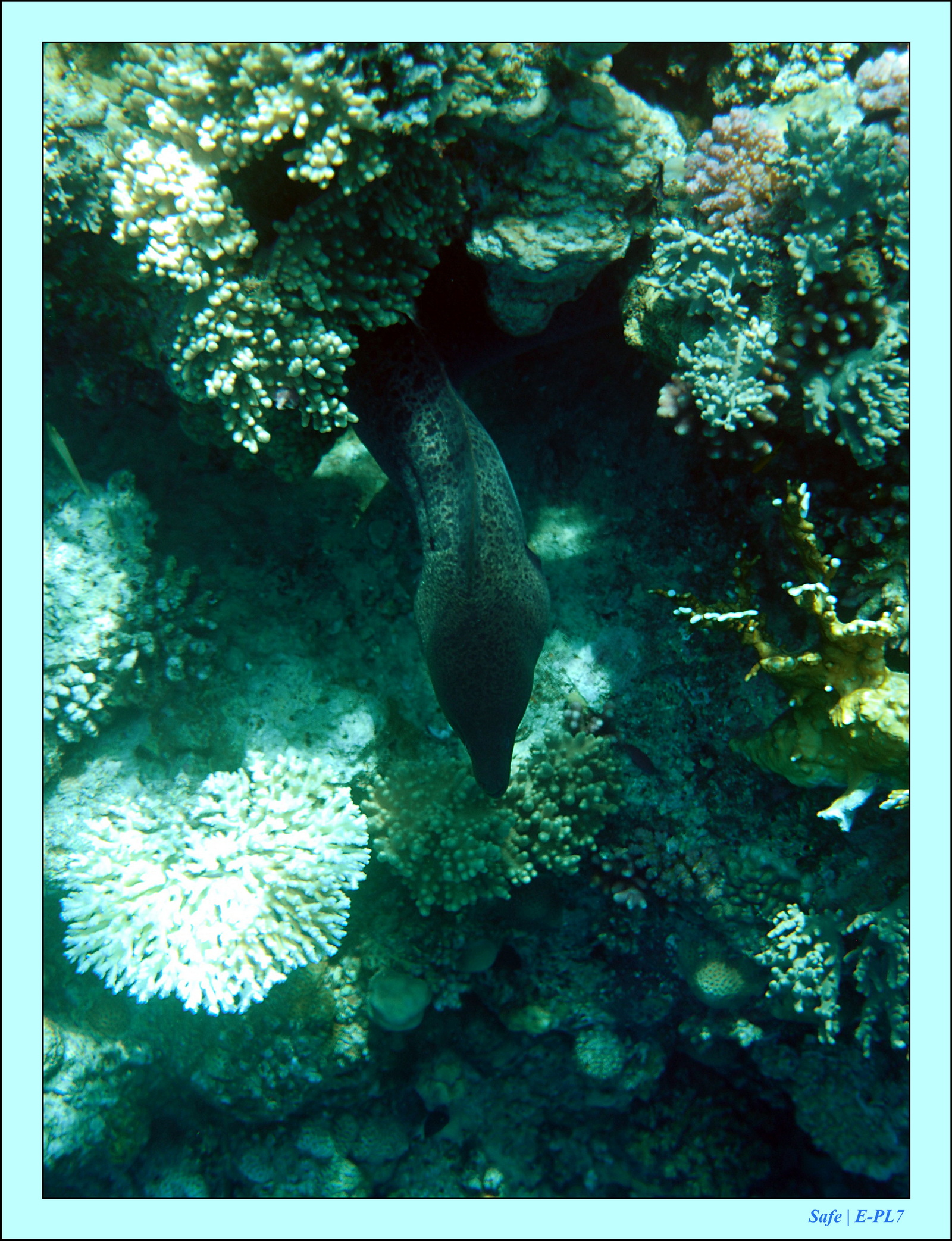 Hurghada - Aout 2021 - 022